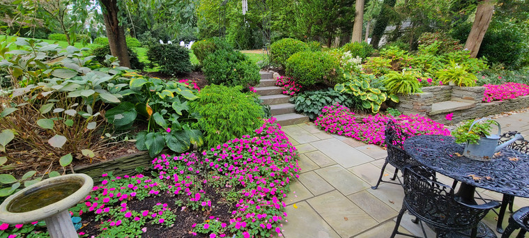 Bluestone garden path winding through vibrant pink impatiens, hostas, and manicured shrubs