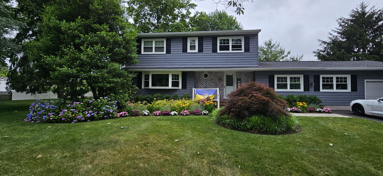 Front yard foundation planting with hydrangeas, perennials, and Japanese maple