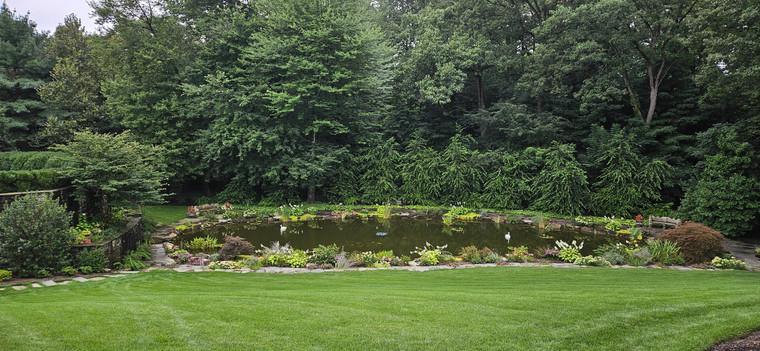 Large estate pond framed by evergreens with stone-edged planted border
