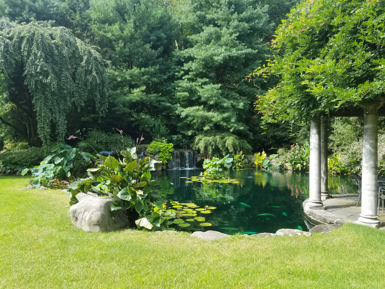Tranquil garden pond with waterfall, stone columns, and weeping evergreen backdrop